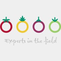 Class One Back Vinyl Thumbnail